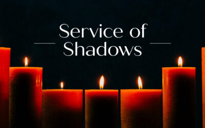Service of Shadows